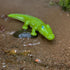 7" HABA Little Friends Crocodile - Chunky Plastic Zoo Animal Toy Figure
