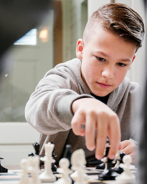 Set 2-Players Paco Sako Peace Chess Game, Super Fun for Chess Lovers, Make Peace While Playing Chess, not War - Chess