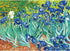 MaxRenard 1000 Pieces Jigsaw Puzzle for Adults, Van Gogh Irises Oil Painting Collection, Perfect Fit Artwork