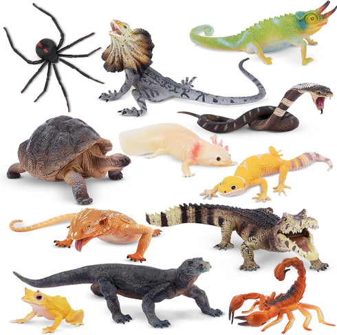 Toymany 12PCS Reptile Animal Figurine Toys Set: Cold Blooded Amphibians, Desert Animal Figures, Gift Party Favor