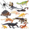 Toymany 12PCS Reptile Animal Figurine Toys Set: Cold Blooded Amphibians, Desert Animal Figures, Gift Party Favor