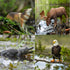 12PCS Set Toymany North American Forest Animal Figurines, Realistic Jungle Zoo Animal Includes