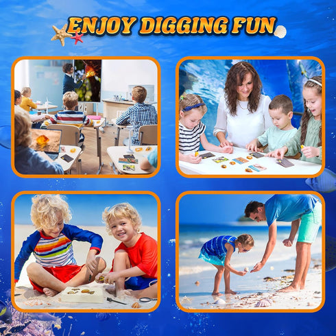 GobiDex Sea Life Amber Dig Kit, Educational STEM Activities for Kids Age 6-12, Dig Up 6 Real Shellfish