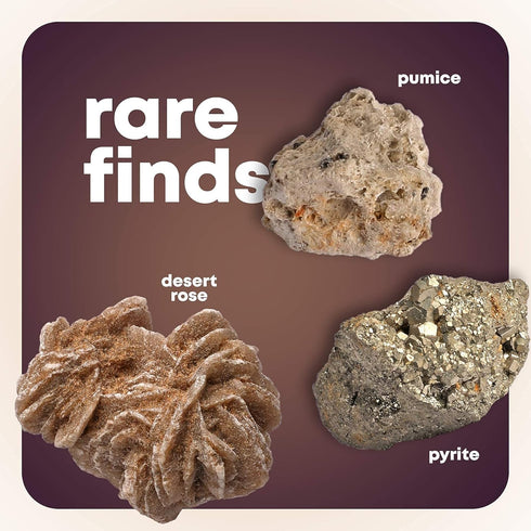 250+ 2 Lbs. 6+ Dan&Darci Rock Collection for Kids - Includes Bulk Rocks, Gemstones & Crystals + Genuine Fossils