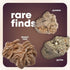250+ 2 Lbs. 6+ Dan&Darci Rock Collection for Kids - Includes Bulk Rocks, Gemstones & Crystals + Genuine Fossils