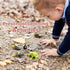 MEROCO Live Tadpole to Frog Life Cycle Toys for Kids, Educational Insect Matching Game