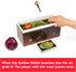 Harry Potter Catch The Golden Snitch - Quidditch Board Game for Witches, Wizards, and Muggles, Family Game Ages 8+
