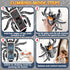 3-5 5-7 8-13, Infowush Wall Climbing Spider, Rechargeable Remote Control Spider Kids Toys, Floor/Wall Crawling Robot