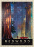 MyPuzzle Redwood National Park: Among The Giants, Vintage Poster - Premium 500
