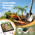 56 Dreamon Zen Sand Garden for Desk - Vegetable Gardening Themed Sand Tray Therapy Kit with Accessories & Encouragement