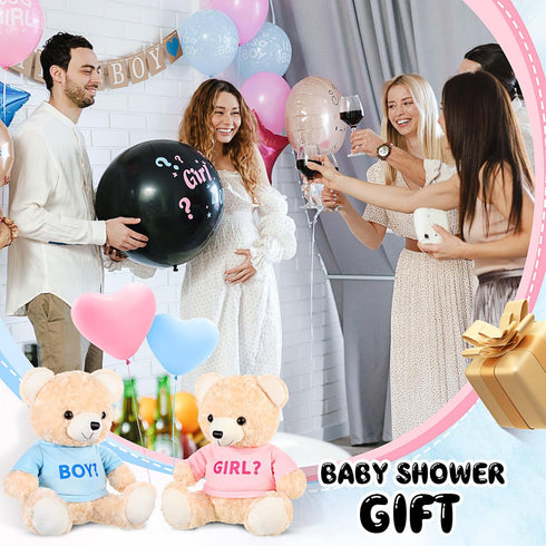 2 Pack Gender Reveal Bears, 14 Inch Blue and Pink T-Shirt Plush Bears for Baby Shower Decoration