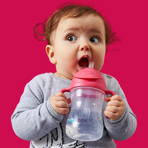 b.box Sippy Cup with Weighted Straw, 8oz, Leak Proof, BPA Free for Babies 6m+ to Toddlers (Pineapple)