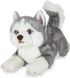 Bearington Explore 13-Inch Baby Dog Plush, Huggable Stuffed Animal Puppy, Adorable and