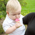 Innobaby Original Teethin Smart EZ Grip Fruit Teether and Sensory Toy for Babies in Apple - BPA Free