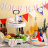 Zonon 4 Pieces Baseball Party Decorations, Baseball Banner, Sports Ball Birthday Party Paper Garland (Baseball Style)
