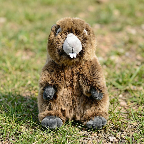 ZHONGXIN MADE 10Inches Simulation Groundhog Plush Toy - Cute Real Life Greedy Groundhog Simulation Plush Toys, Lifelike
