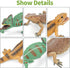 6PCS Large Lizard Figurines Rainforest Animal Toys, Realistic Plastic Reptile Animal Figurines, Includes Bearded
