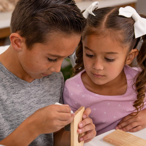 6-8 5-12 Hapinest Wooden Bird Houses to Paint and Build, Birdhouse Kit for Kids, Wood Painting Building Projects Fun