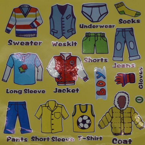 Maydahui 2 Sheets (31 Count) Removable Clothing Decals, 11 Inch Boys Girls Clothing Sort Wall Sticker for Wardrobe