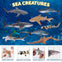 Toymany 8PCS Shark Toys Figurines - Realistic Sea Creatures for Kids 3-12, Ocean Sea Animal Cake Topper Educational