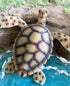 Gemini&Genius Sea Turtle Toy: Large Marine Animal Figure, Ocean Educational Toy, Backyard Garden Decoration