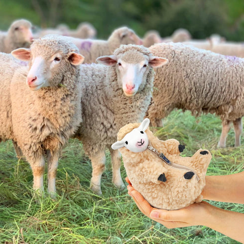 AGRIMONY Cute Shaved Sheep Plush Toys, Kawaii Lamb Gifts for Kids, Girls, Boys, and Teens