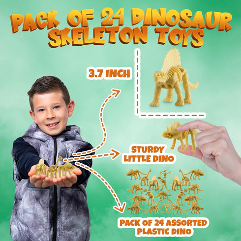 Bedwina Dinosaur Fossil Skeleton Pack of 24, 3.7 Inch Assorted Plastic Dino Figure Bones for Kids Science Dig Kit