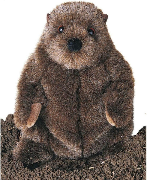 Douglas Chuckwood Groundhog Woodchuck Plush Stuffed Animal