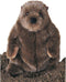 Douglas Chuckwood Groundhog Woodchuck Plush Stuffed Animal