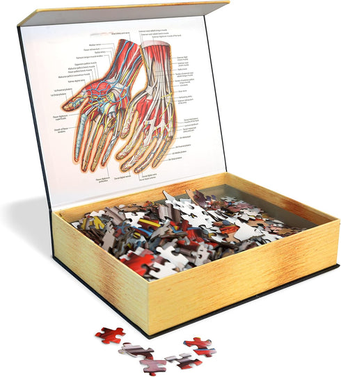 Dr. Livingston's Human Hands Anatomy Puzzle - A Medically Accurate Jigsaw Puzzle of the Hands - Educational
