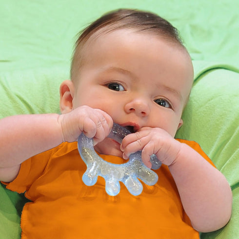 (2 Pack) Green Sprouts Cooling Teether Soothes Gums & Promotes Healthy Oral Development Safer Plastic Filled