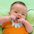 (2 Pack) Green Sprouts Cooling Teether Soothes Gums & Promotes Healthy Oral Development Safer Plastic Filled