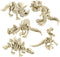 PowerTRC 5PCS 3D Printed Dinosaur Skeletons, T-Rex Triceratops Stegosaurus Velociraptor Spinosaurus Fidget