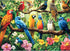 Nitktaia 300 Piece Puzzle for Adults,Jungle Parrots Jigsaw Puzzles Adults Kids Seniors,Large Piece