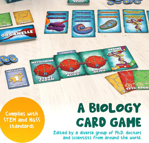 Genius Games Peptide: A Protein Building Game | A Strategy Card Game with Accurate Science for Gamers and Teachers |