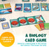 Genius Games Peptide: A Protein Building Game | A Strategy Card Game with Accurate Science for Gamers and Teachers |