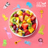 GO FRESH Food Picks for Kids, 30 Pieces Animal Bento Deco Set, Mini Cartoon Toothpick for Baby Showers and Kids Parties