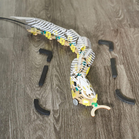 9+ KiwiCo - Remote Controlled Snake Robot | DIY Robotics Engineering Building Kit | Science Exploration Activity & RC