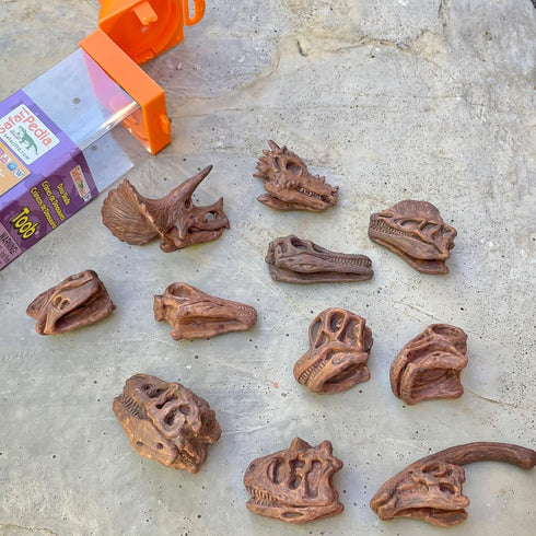Safari Ltd Dinosaur Skulls TOOB - 11 Mini Figurines Including Velociraptor, Brachiosaurus, and More - Educational Toy