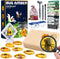 Amber Dig Kit - Insects in Resin, 8 Insects Specimens Excavation Kit for Kids Birthday Gifts