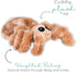 1.5lbs Cozy Warm Pals - Spider - - Microwavable Lavender Scented Plush Toys - Heated Stuffed Animal - Heatable Coolable