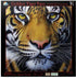 SUNSOUT INC Golden Tiger Face Jigsaw Puzzle, 1000 pc by Artist Jurek, Finished Size 26" x 26", MPN# 58628