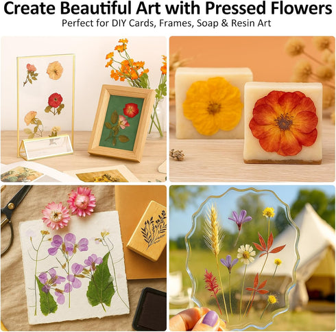 MeRGBWLife 11"x11" 10 Flower Press - Wooden Layer Flower Press Kit for Crafts Pressed Flowers & Plant Press