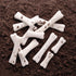 Yellow Door YUS1038 Set (Pack 12) Dinosaur Bones Discovery