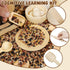 25PCS Set, Counting Hammering Hiawbon Wooden Sensory Bin Tools for Toddlers, Wooden Pretend Play Sensory Tools