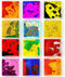 Liquid Sensory Soft Gel Toys - Set of 12 - Square Sensory