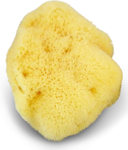 4"-4.5" Fina Silk Sponge for Babies - Real Premium Natural Sea Sponge, Soft & Fine Pored from The Mediterranean, Gentle
