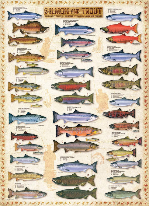 1000-Piece Eurographics Salmon and Trout Puzzle
