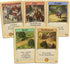 CATAN The Struggle Card Game - Strategy Card Game for Adults and Family - 2 to 4 Players