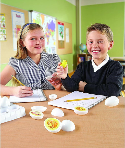 Set 21 5+ Learning Resources Chick Life Cycle Exploration - Pieces, Ages Science Exploration Toys for Kids